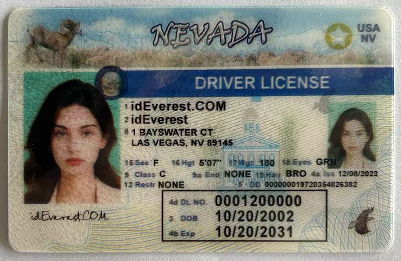 fake nevada id