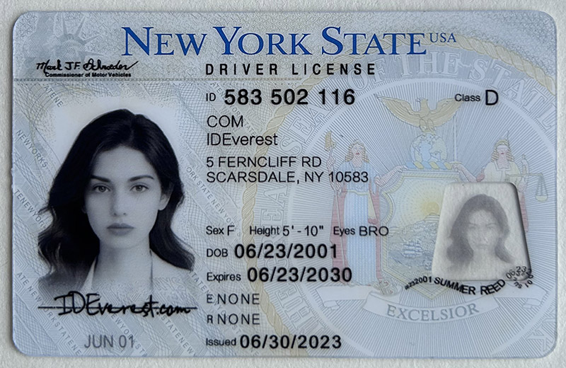 New York Fake ID 